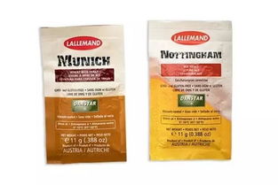 夏日必備的微醺藝術(shù) 走進(jìn)精釀吧，探索啤酒酵母的奇妙世界